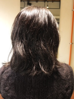 写真 1 (1)